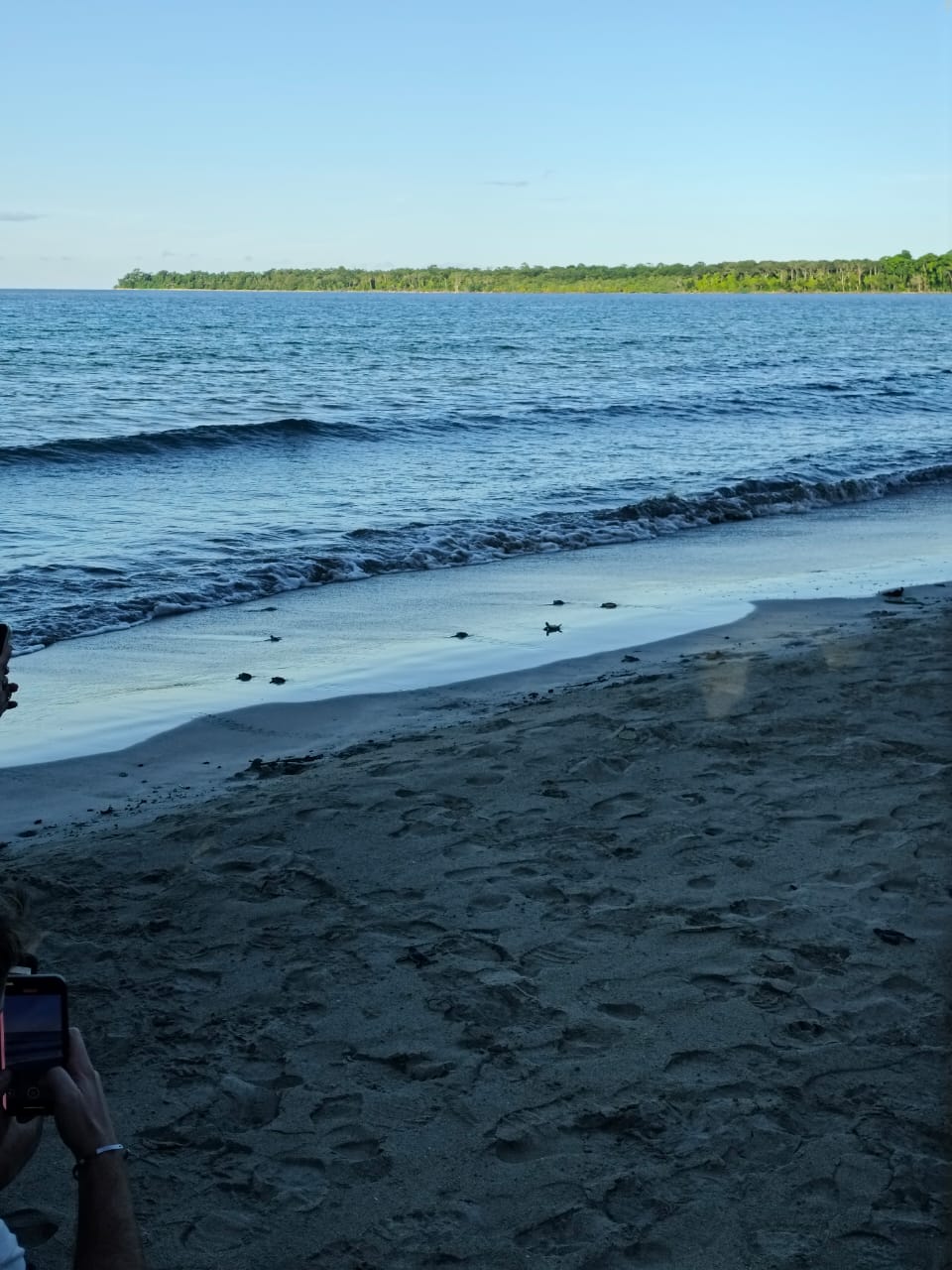 Caribbean Traditions Tortugas